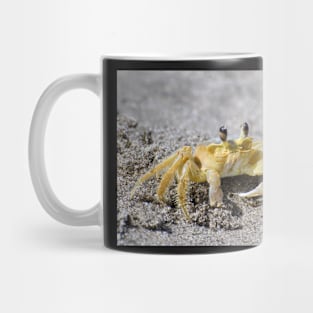 Golden Mug